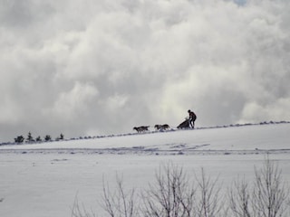 Apartment Wildemann Environment 17