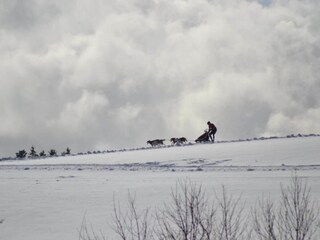 Appartement Wildemann Environnement 33