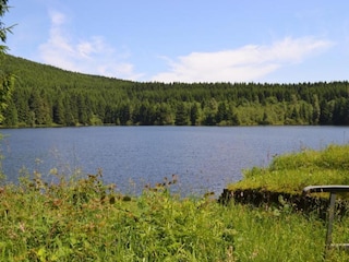 Apartment Wildemann Environment 31