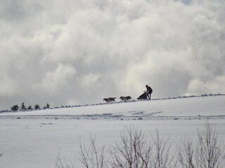 Apartamento Wildemann Entorno 34