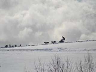 Appartamento Wildemann Ambiente 34