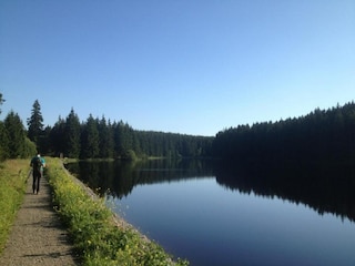 Apartment Wildemann Environment 19