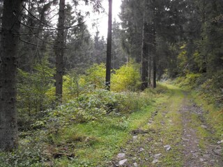 Apartamento Wildemann Entorno 36