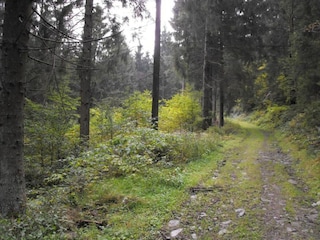 Apartment Wildemann Environment 23