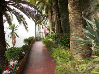 Appartamento per vacanze Ospedaletti Registrazione all'aperto 2