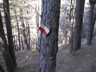 Appartamento per vacanze Ospedaletti Ambiente 19