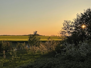 Blick aus dem Dachfenster