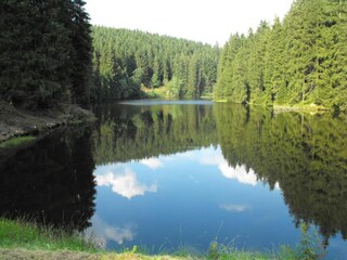 Appartement Wildemann Omgeving 25