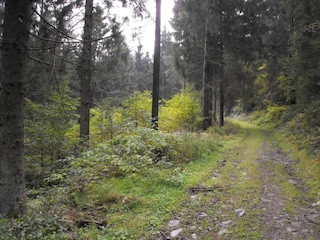 Apartamento Wildemann Entorno 18