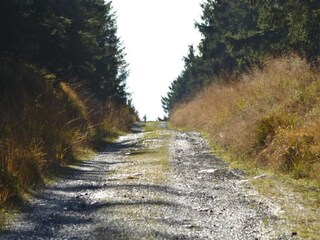 Appartement Wildemann Omgeving 31