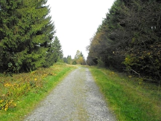 Apartment Wildemann Umgebung 33