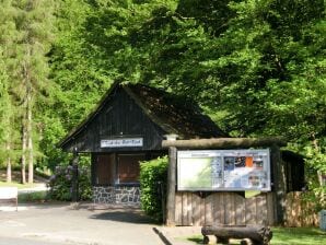 Appartement in de Oberharz in Wildemann - Wildeman - image1
