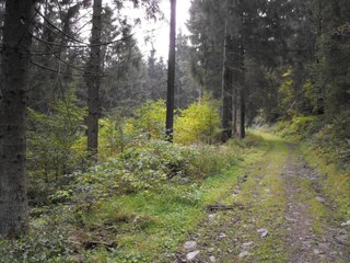 Appartamento Wildemann Ambiente 31