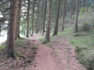 Appartement Wildemann Environnement 29