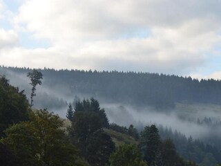 Apartment Wildemann Umgebung 33