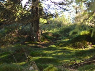 Apartamento Wildemann Entorno 39