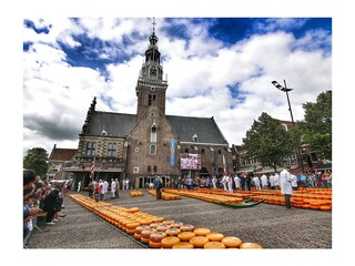Käsemarkt im Alkmaar