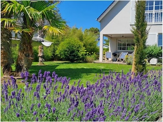 Casa per le vacanze Bretteville-sur-Ay Registrazione all'aperto 5