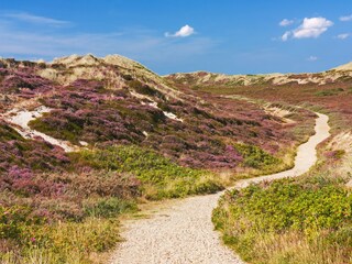 Dünen und Heide