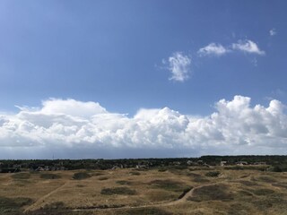 Holiday apartment Nes Environment 30