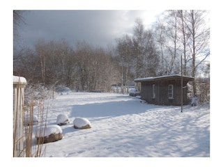 Gartenblick im Winter