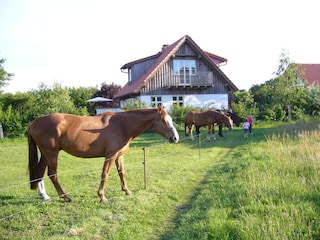 Haus LÄKEMÄKER