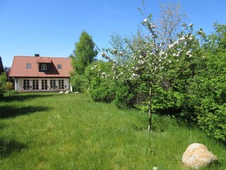 Hausrückseite und Wiese