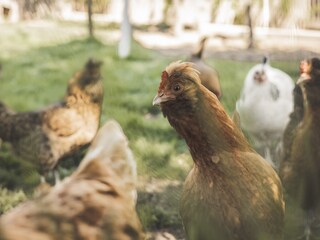 Appartamento per vacanze Schlanders Registrazione all'aperto 4