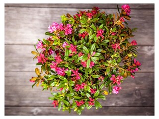 Appartamento per vacanze Schlanders Registrazione all'aperto 7