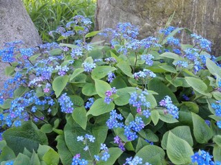 Appartamento per vacanze Naturns Registrazione all'aperto 4