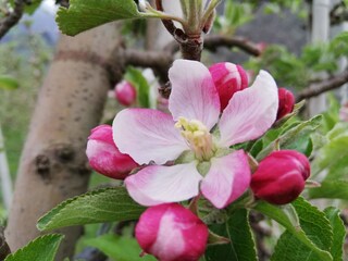 Appartamento per vacanze Naturns Registrazione all'aperto 5