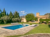 Swimming Pool Area