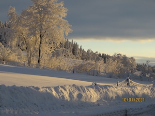 aus dem Küchenfenster