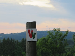 Wanderweg zum Hoherodskopf