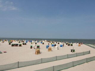 Feiner Sandstrand zum  Relaxen und/oder Burgenbauen