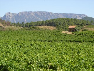 Villa Berlou Entorno 37