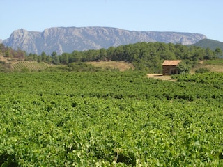 Villa Berlou Umgebung 33