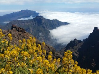 Casa per le vacanze El Paso Ambiente 39