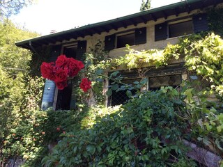 Villa Toscolano-Maderno Buitenaudio-opname 13