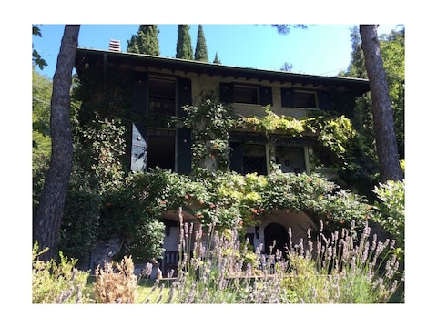 Villa Lavanda