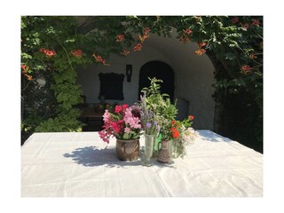 Villa Toscolano-Maderno Buitenaudio-opname 8