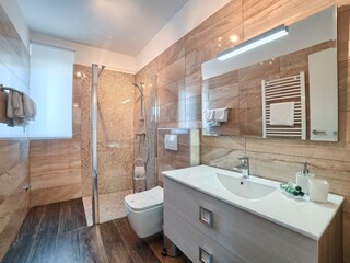 Villa Štinjan Caratteristiche 22