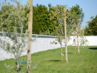 Großer gepflegter und eingezäunter Garten