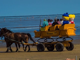 Wattwagenfahrt zur Insel Neuwerk