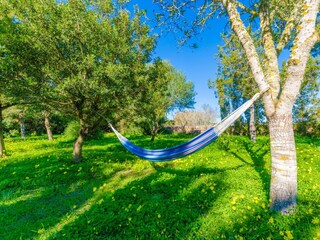 Chalet Ses Covetes Registrazione all'aperto 10