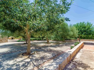 Villa Vilafranca de Bonany Registrazione all'aperto 16