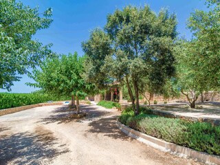 Villa Vilafranca de Bonany Registrazione all'aperto 17