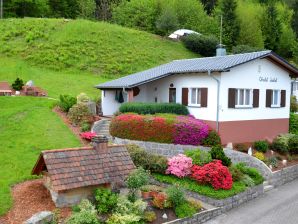 Chalet Isabel - Ottenhöfen im Schwarzwald - image1