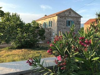 Ferienhaus mit Garten und Pool