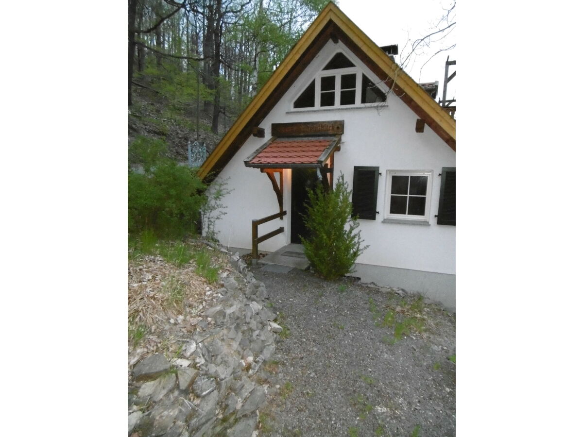 View of the house from the Forstweg